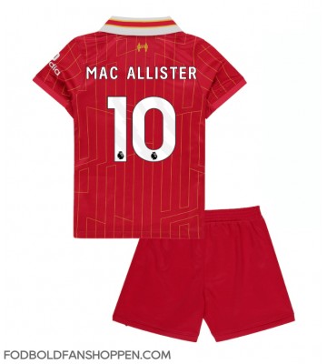Liverpool Alexis Mac Allister #10 Hjemmebanetrøje Børn 2024-25 Kortærmet (+ Korte bukser)